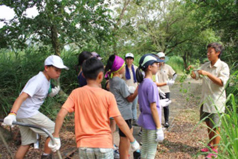 【最新活動】wwf兒童夏日學堂2017