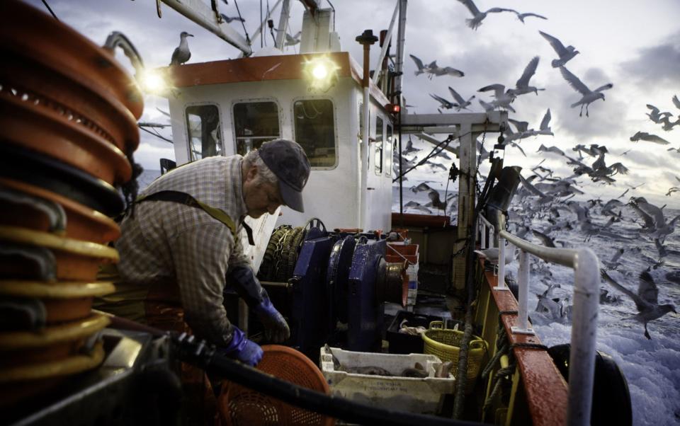 Britain has struck fisheries deals with the EU, Norway and North Atlantic countries such as Greenland and Iceland - Annie Sakkab/Bloomberg