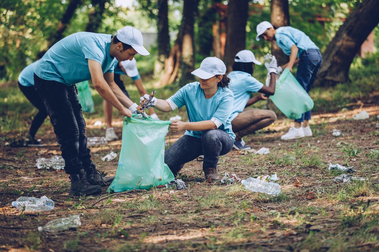 volunteers cleaning the forest