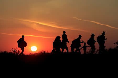 Migrants walk along in the sunset after crossing into Hungary from the border with Serbia near Roszke, Hungary, August 30, 2015. REUTERS/Bernadett Szabo