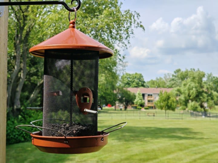 A photo of a bird feeder outside on a patio, taken with the Honor 200 Pro.