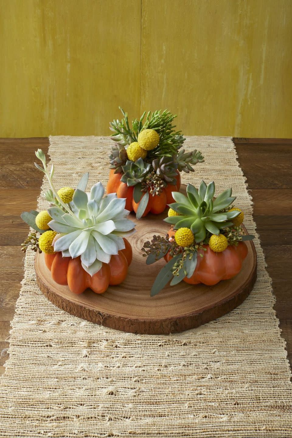 Succulent Planter Pumpkin