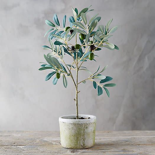 Faux Olive Tree