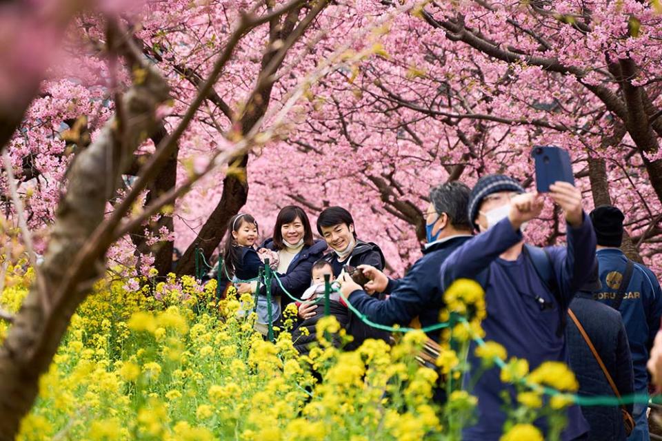 河津町（Photo by Zhang Xiaoyu/Xinhua, Image Source : Getty Editorial）