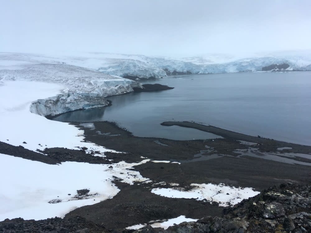 Collins glacier on King George Island - Antarctica tourism