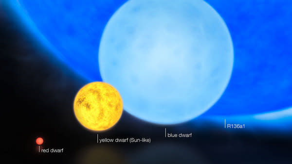 This artist's impression shows the relative sizes of young stars, from the smallest "red dwarfs", weighing in at about 0.1 solar masses, through low mass "yellow dwarfs" such as the Sun, to massive "blue dwarf" stars weighing eight times more t