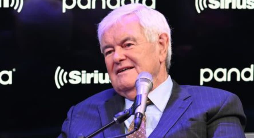 Newt Gingrich's op-ed for The Washington Examiner was a doozy. (Photo: Slaven Vlasic via Getty Images)