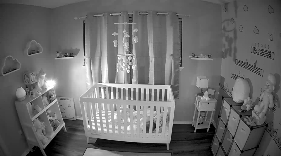 Hubble Nursery Pal Dual Vision top camera