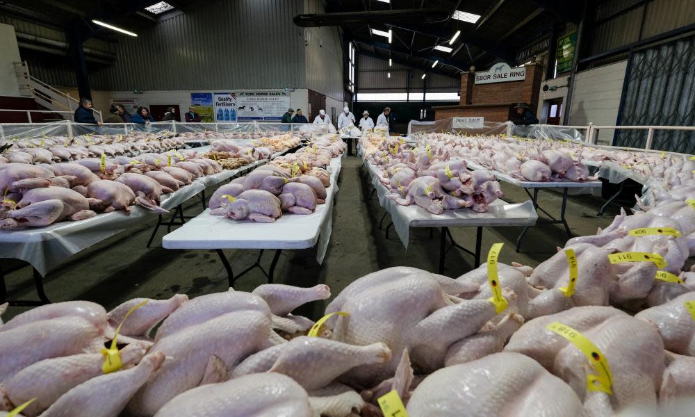 The Christmas poultry sale in York, 21 December 2018.