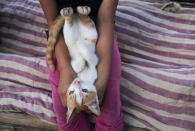 <strong>Just a girl relaxing with her cat. It's Friday</strong>. (AP Photo/Yirmiyan Arthur)