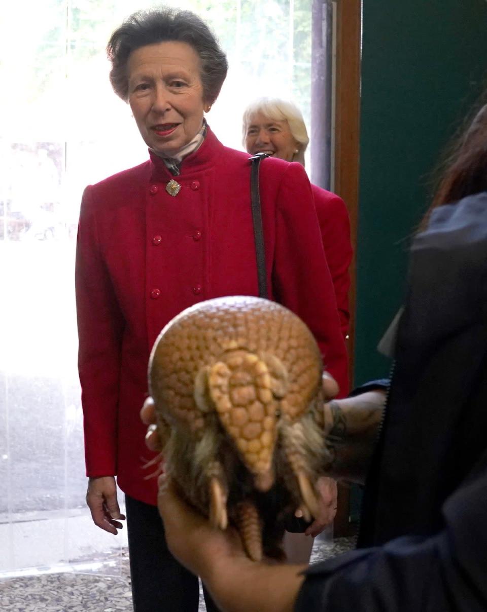 The Princess Royal views an armadillo during her visit to Edinburgh Zoo (Andrew Milligan/PA) (PA Wire)