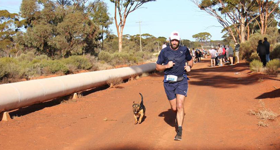 Adventurous dog Stormy completed the Goldfields Pipeline Half Marathon in Kalgoorlie in about 2.5 hours. Source: Facebook/Goldfields Pipeline Marathon and Rhea Wholey