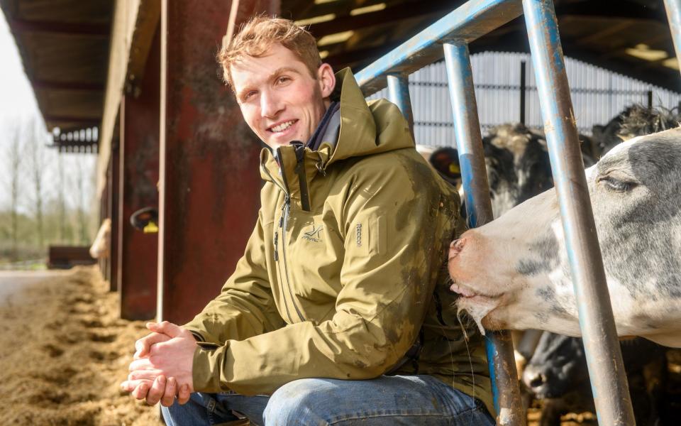 Harry Cobden and one of his cows