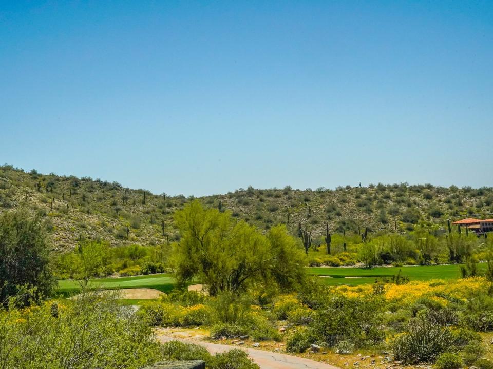 a path and shrubbery in front of the a golfcourse with hills dotted with cacti in the background in DC Ranch