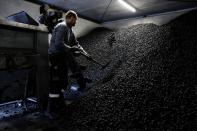 Coal seller Gerben van Beek shovels coal, in Veenendaal