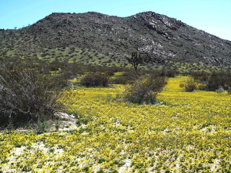 Saddleback Butte State Park via Getty Images