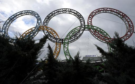 Olympic rings stand in front of the airport in Adler outside Sochi on November 30, 2013