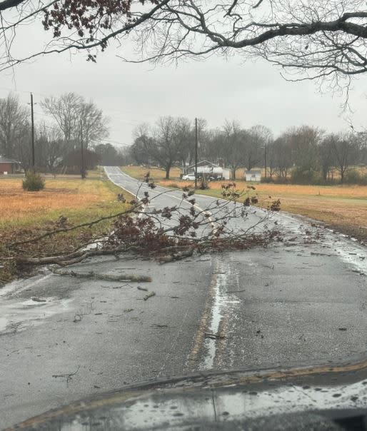 <em>Tree branch in the road along Limestone Road via YCSO</em>