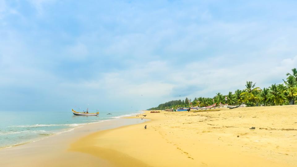 coastline at Marari Beach