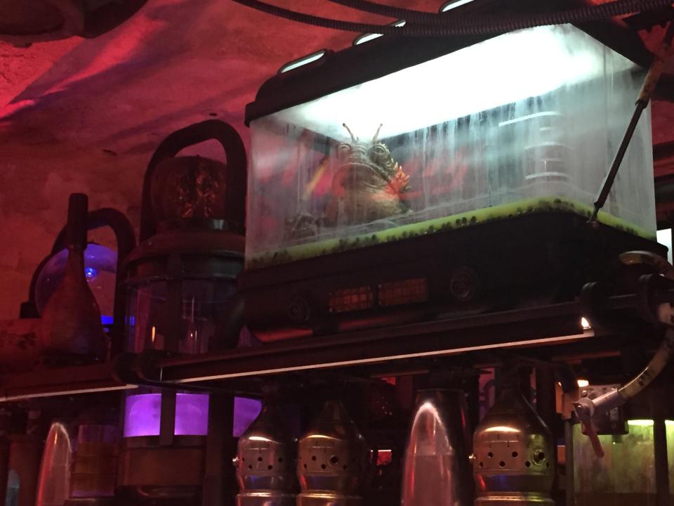 A creature in a tank above the bar at Oga's Cantina in Star Wars: Galaxy's Edge at Disneyland.