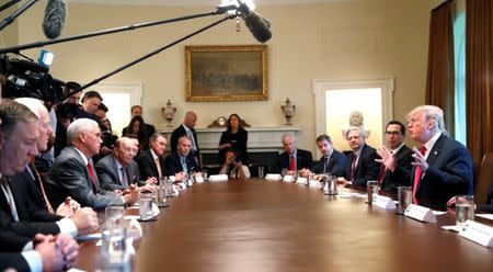 U.S. President Donald Trump participates in a Cabinet meeting, where he discussed immigration policy at the White House in Washington, U.S., June 20, 2018. REUTERS/Leah Milllis