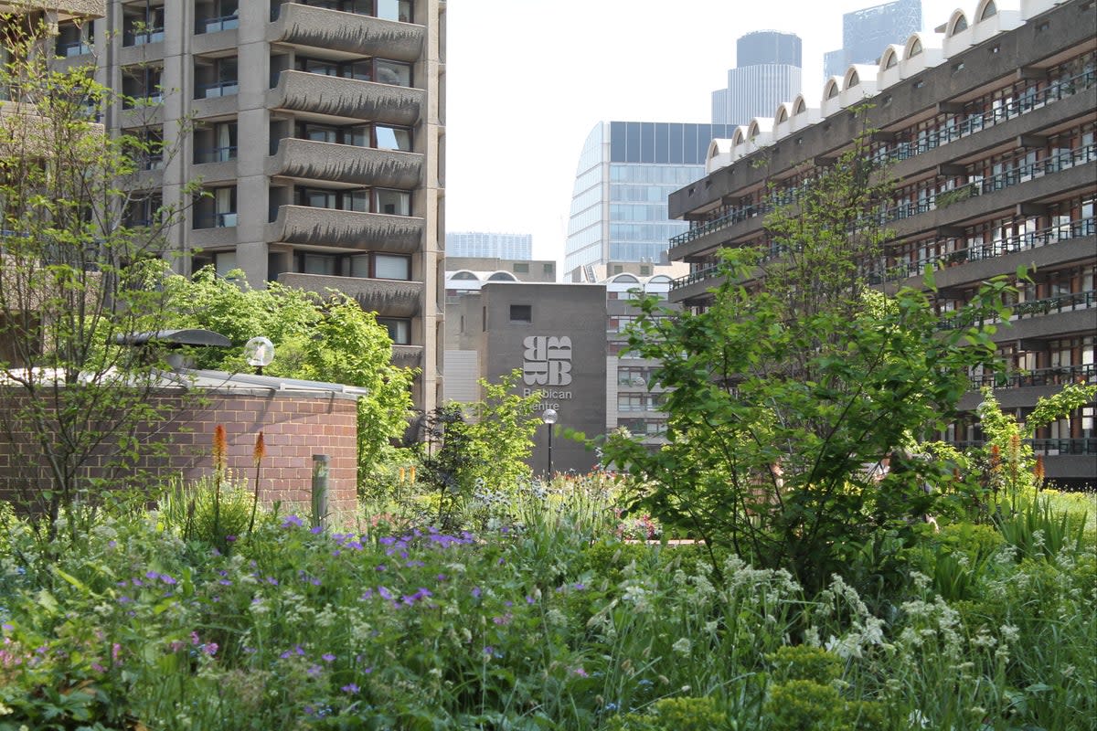 Beech Gardens at the Barbican is owned and managed by the Corporation (City of London Corporation)