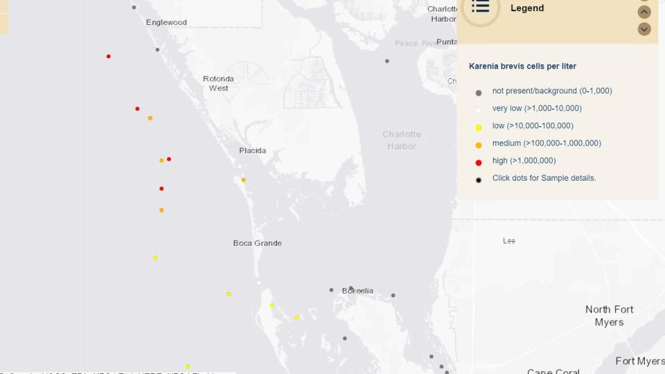 Red tide is blooming off the shore of some of the communities that were hit hardest by Hurricane Ian, based on an update issued Friday by the Florida Fish and Wildlife Conservation Commission.