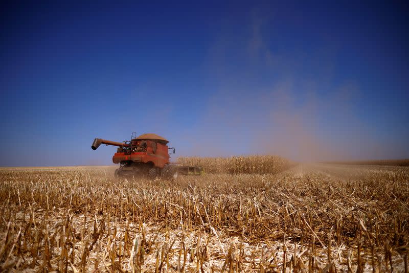 Brazil set to overtake the US this year as the world's top corn exporter