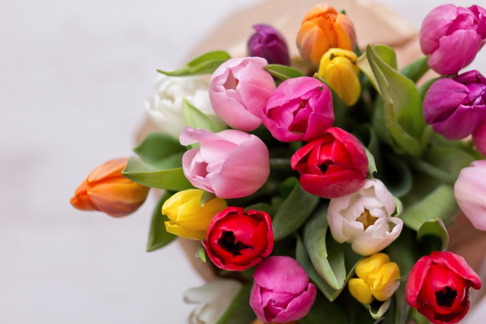 Blumenfrische eignet sich nicht bei Blumen, die mal eine Zwiebel hatten. (Bild: Getty Images)