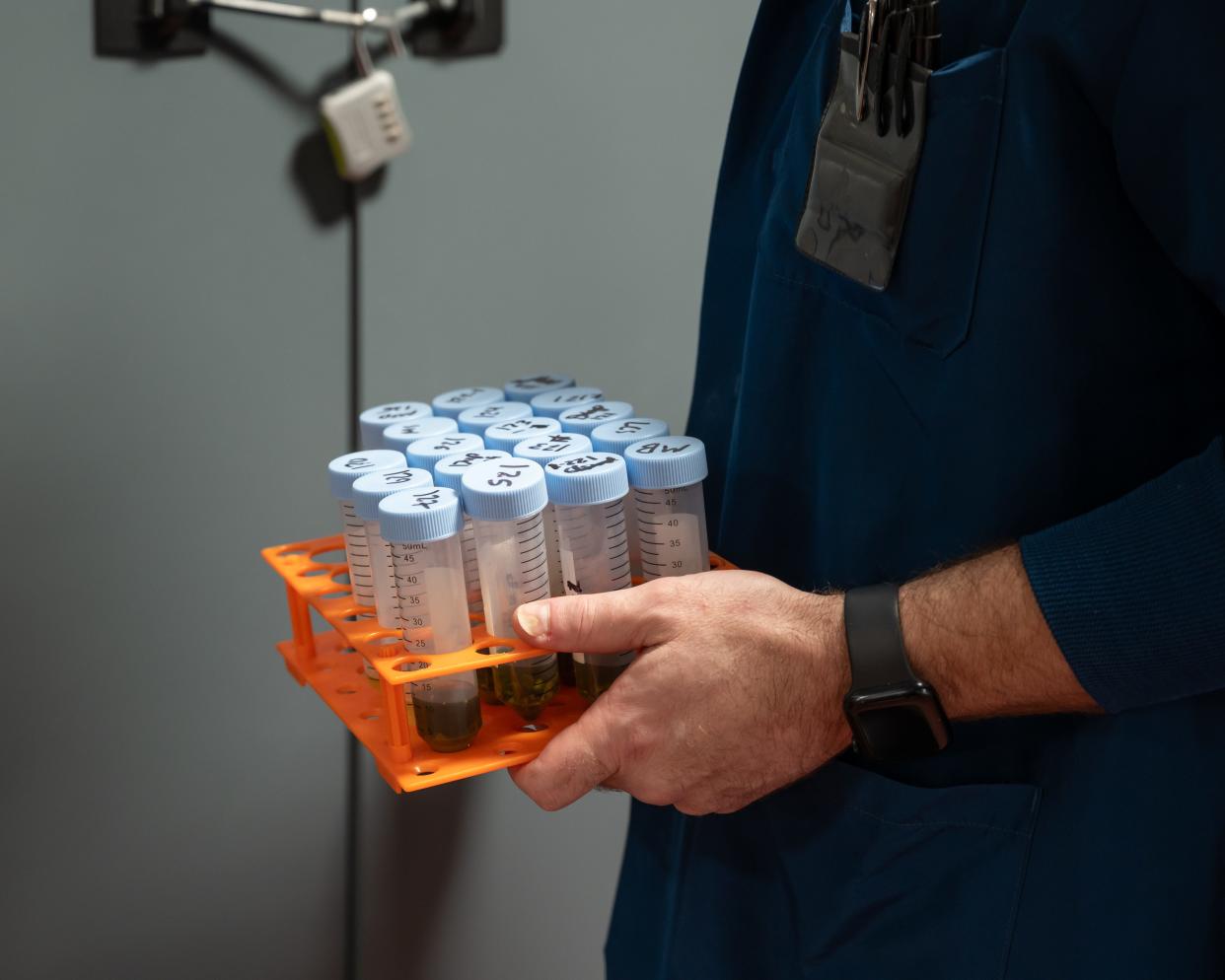 Lab Director Julian England holds a rack of samples that are being tested for pesticides and other forms of contamination in Utica, NY on Wednesday, March 20, 2024.