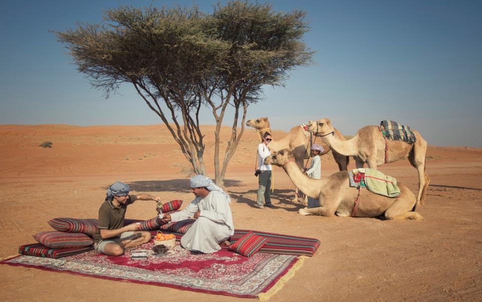 Oman Sharqiyah Sand