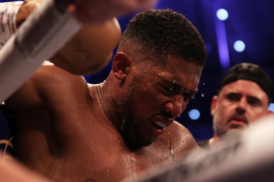 Anthony Joshua suffered just his second career defeat against Oleksandr Usyk  (Getty Images)