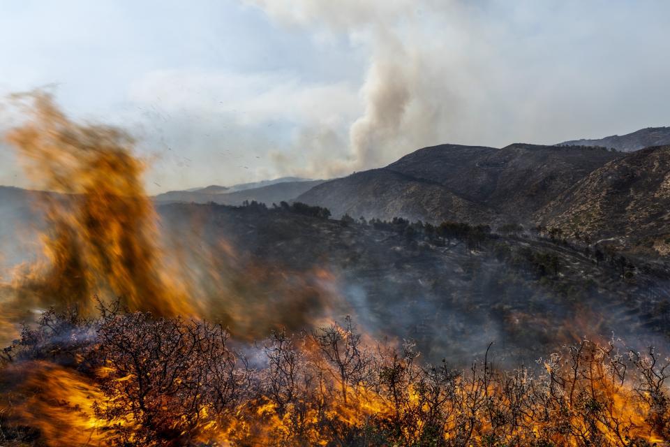 ARCHIVO - Un bosque arde durante un incendio forestal cerca de Altura, en el este de España, el viernes 19 de agosto de 2022. (AP Foto/Alberto Saiz, archivo)