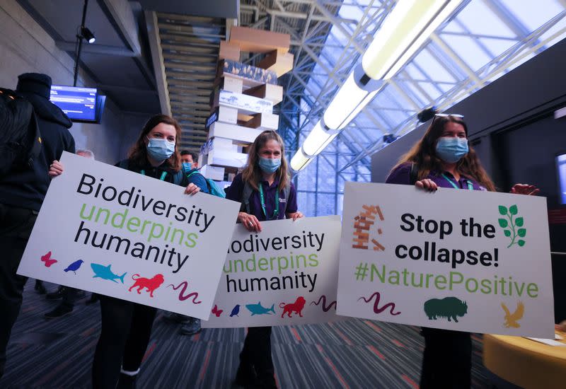 COP15, the two-week U.N. Biodiversity summit in Montreal