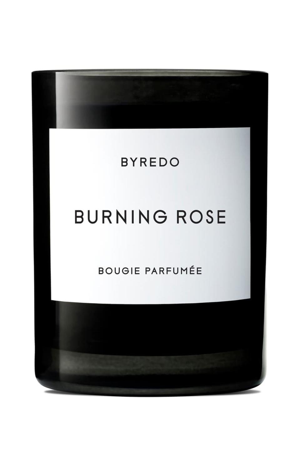 Burning Rose