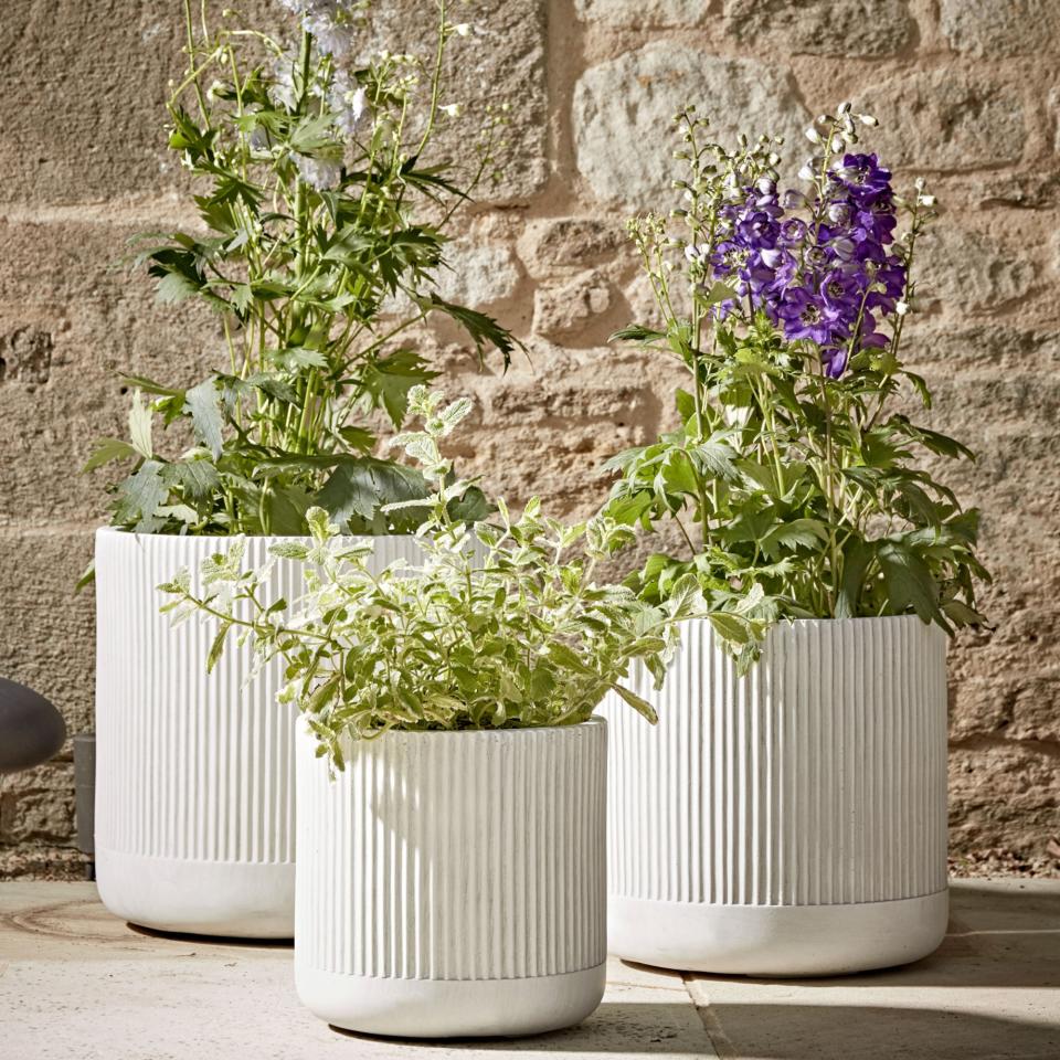 Cox &amp; Cox outdoor living white planter set