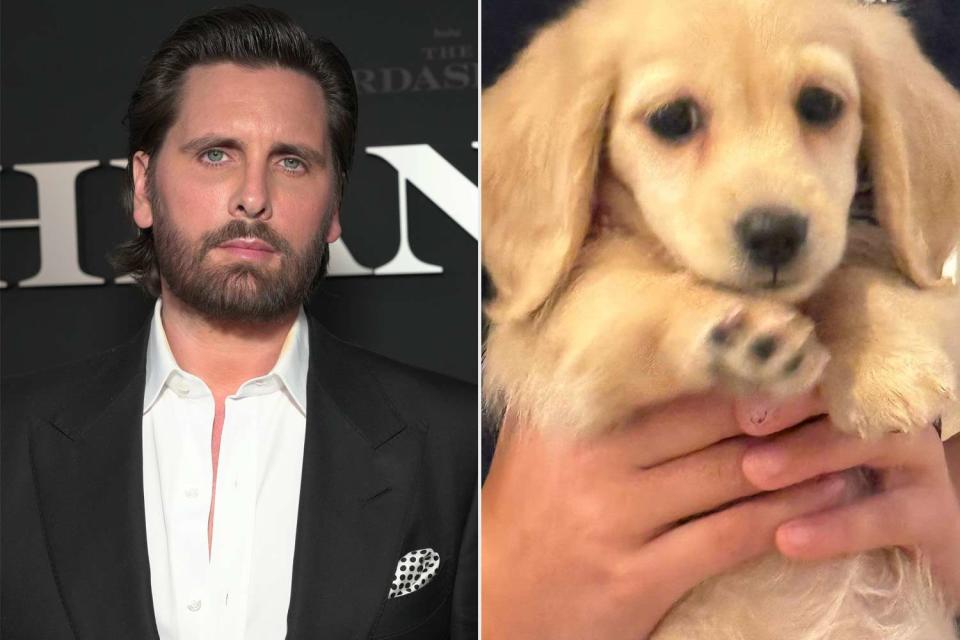 <p>Kevin Mazur/Getty: Scott Disick/Instagram</p> Scott Disick has welcomed a new pet 