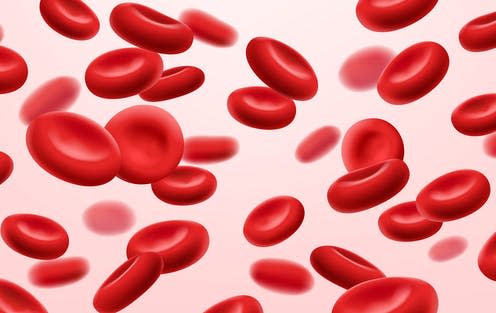   <span class="attribution"><a class="link " href="https://www.shutterstock.com/image-vector/flowing-red-blood-cells-erythrocyte-on-1392918200" rel="nofollow noopener" target="_blank" data-ylk="slk:MarySan/Shutterstock;elm:context_link;itc:0;sec:content-canvas">MarySan/Shutterstock</a></span>