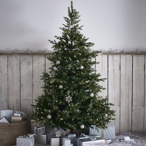 White Company tree