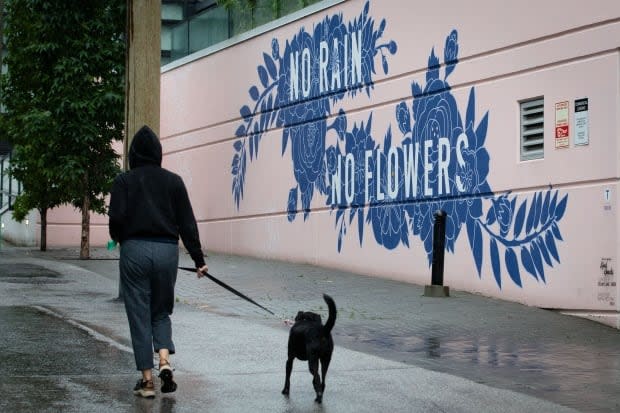 A person walks their dog in rainy Vancouver, B.C., on Friday, Sept.17, 2021.  (Maggie MacPherson/CBC - image credit)