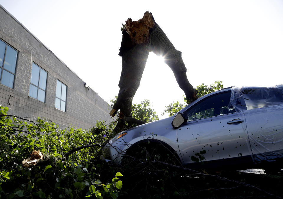 Downed tree limbs remain on cars outside a business Wednesday, May 29, 2019, in Morgantown, Pa. The National Weather Service says a tornado has been confirmed Tuesday in eastern Pennsylvania, where damage to some homes and businesses occurred, but there were no immediate reports of injuries. (AP Photo/Jacqueline Larma)