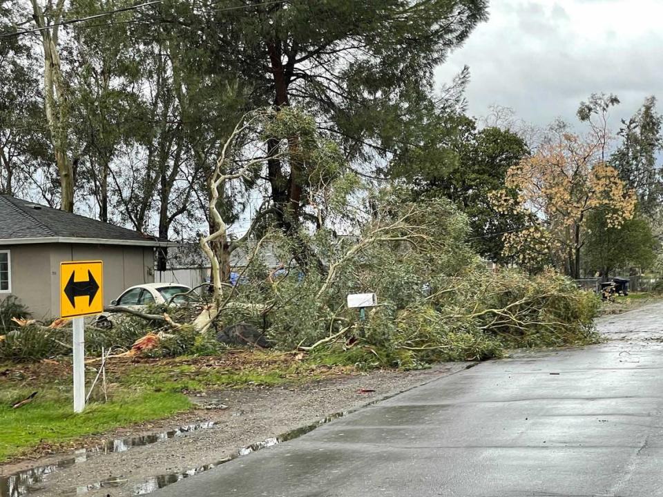 Storm damage is seen Wednesday, Jan. 27, 2021, along Elverta Road north of Sacramento, Calif., after a fierce winter storm barreled across the Sacramento region. The road and others in the Elverta and Rio Linda areas were closed from downed power lines and fallen limbs.