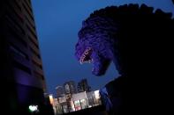 The Wider Image: Postcards from Tokyo: light and shadow ahead of pandemic Olympics