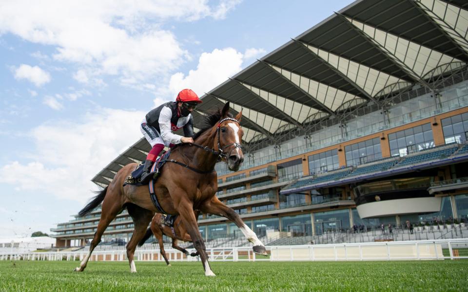 Frankie Dettori and Frankly Darling triumphed at Royal Ascot - GETTY IMAGES