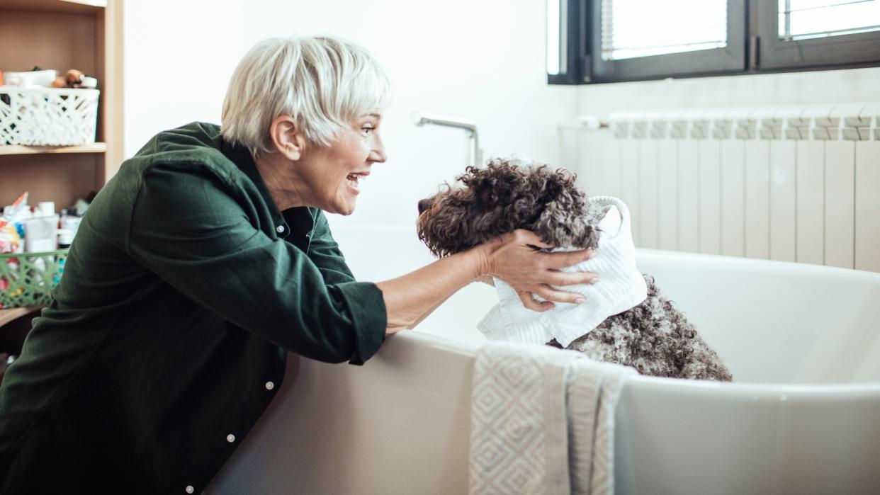  Senior woman giving her dog a bath 