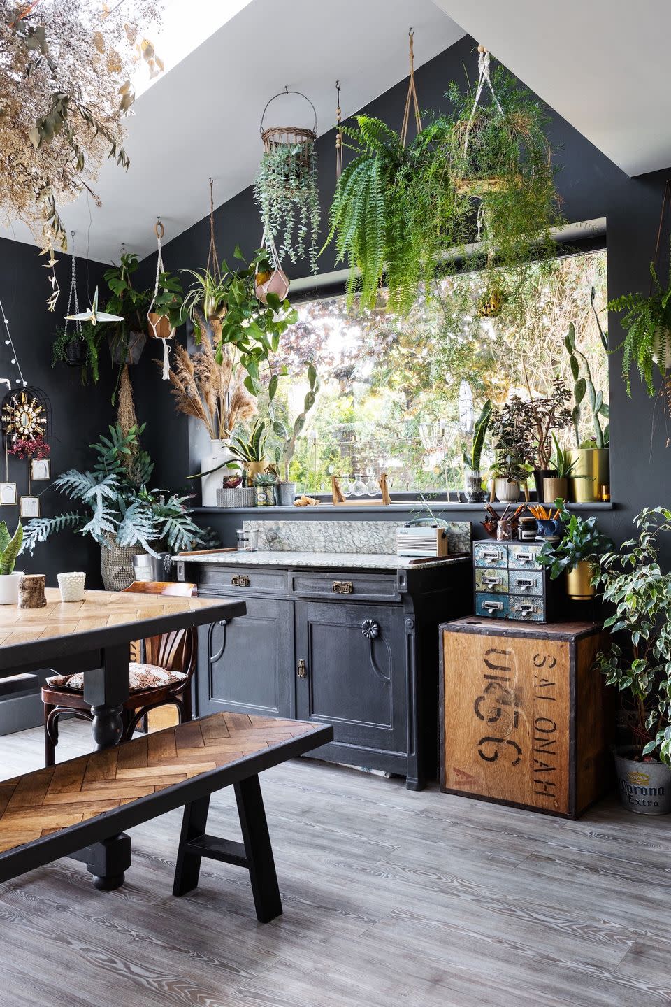 dining area full of houseplants