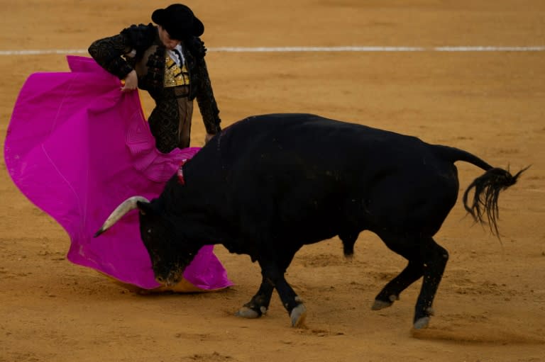 El torero Juan Ortega, en una corrida de toros en la plaza de la Malagueta, en la ciudad española de Málaga, el 15 de agosto de 2023 (Jorge Guerrero)