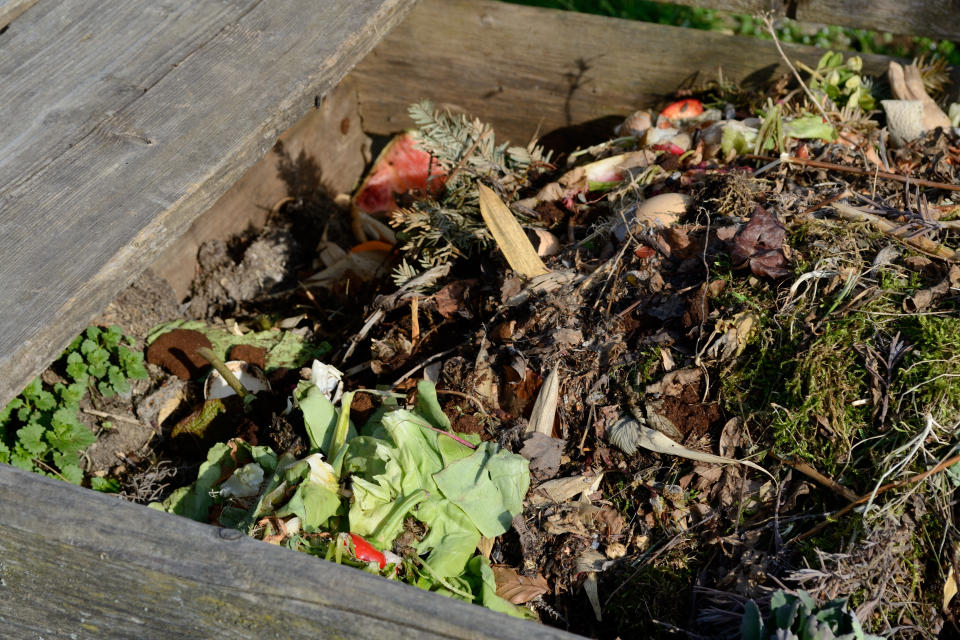 <p>Wer einen Garten hat, kann auf teure Düngemittel verzichten, indem er seinen eigenen Kompost aus Küchen- und Gartenabfällen produziert. Man schlägt außerdem zwei Fliegen mit einer Klappe: Der eigene Müll reduziert sich wesentlich. (Foto: ddpimages) </p>
