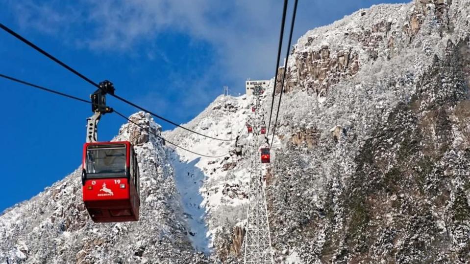 Nabana no Sato & Gozaishodake Ropeway Day Tour from Osaka. (Photo: Klook SG)