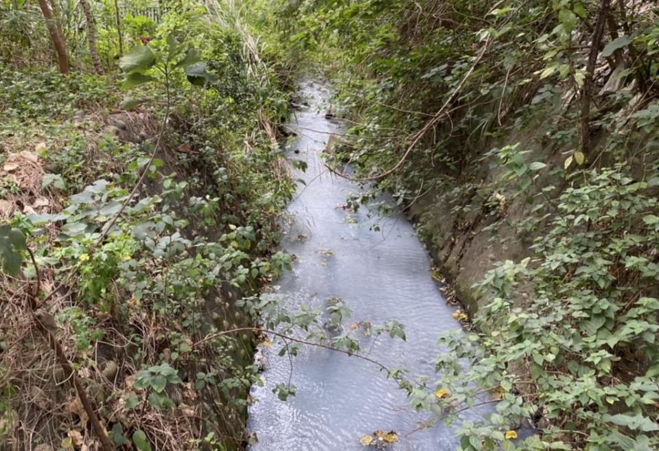 新北市樹林區三峽河遭汙水染白成乳白色，環保局追查出上游一家染整廠廢水收集管線破裂流出污水所致。（新北市府環保局提供）